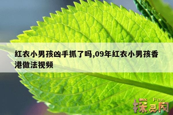 红衣小男孩凶手抓了吗？,剧本杀红衣小男孩身份关系