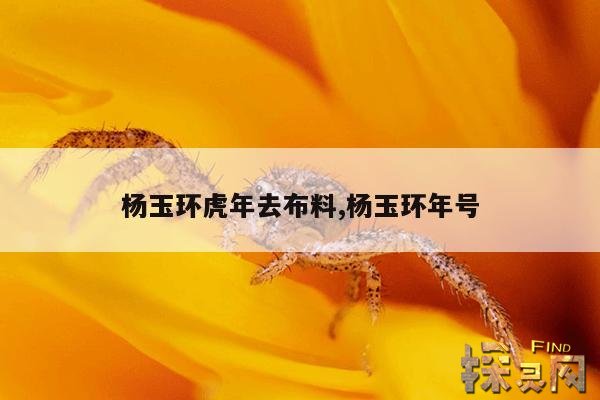 杨玉环虎年去布料,杨玉环年号