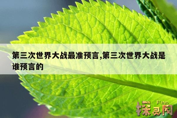 第三次世界大战最准预言,第三次世界大战还远吗？